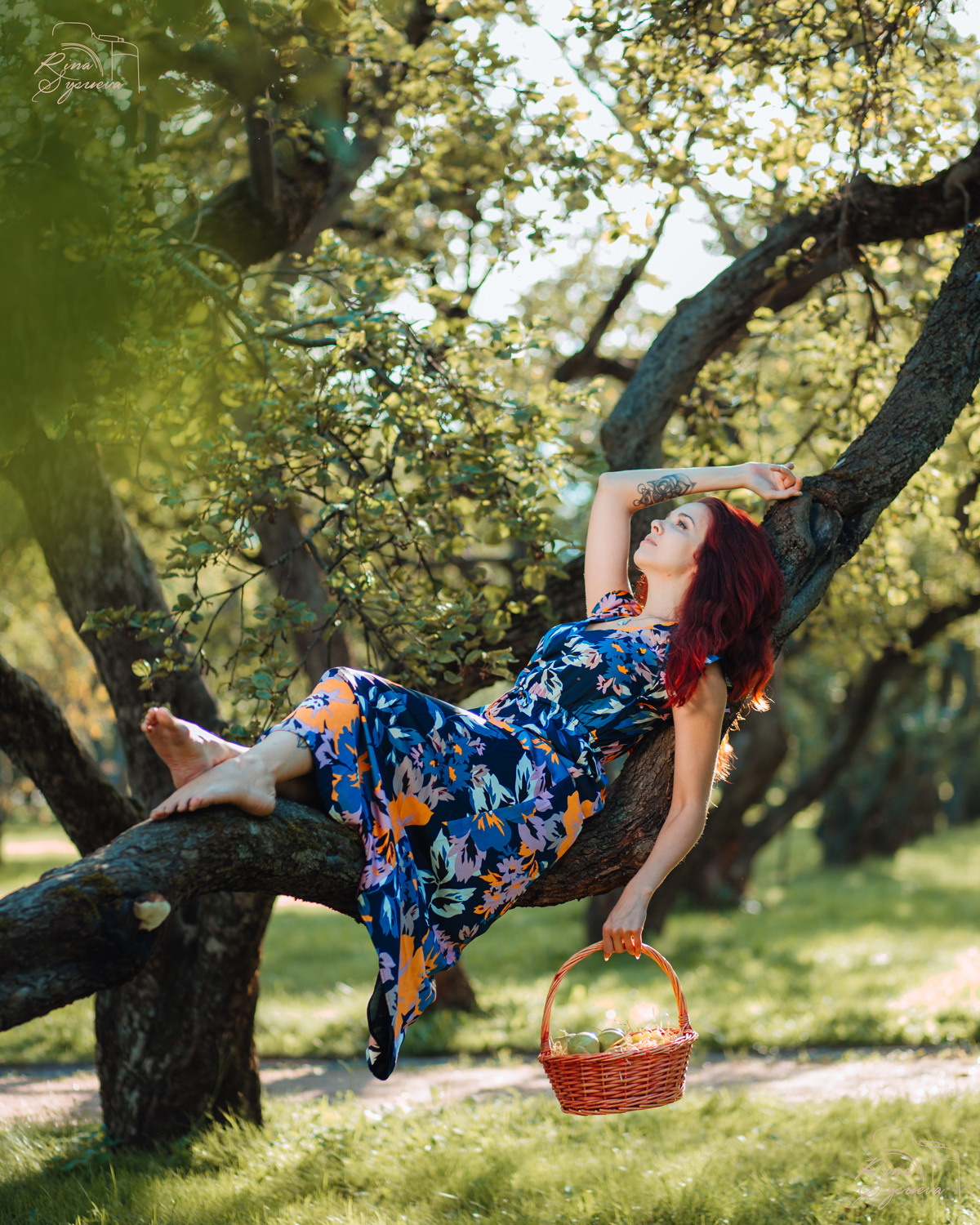 rina_sphoto, фотограф Катерина Сысуева, Рина Сысуева, женский фотограф Москва, профессиональный фотограф москва, девушка с корзинкой лежит на ветках яблони, яблоневый сад, фотограф коломенское, парк коломенское