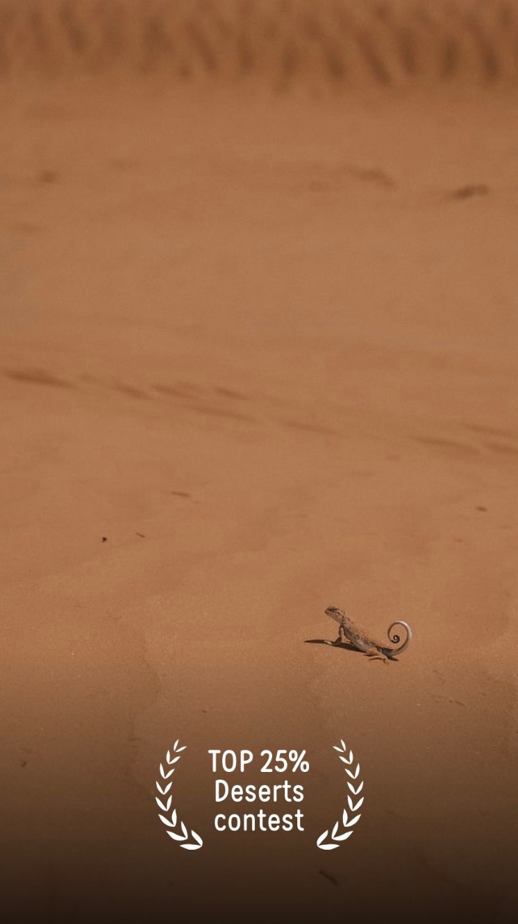 О себе. Портретный фотограф в Москве Ирина Ортега