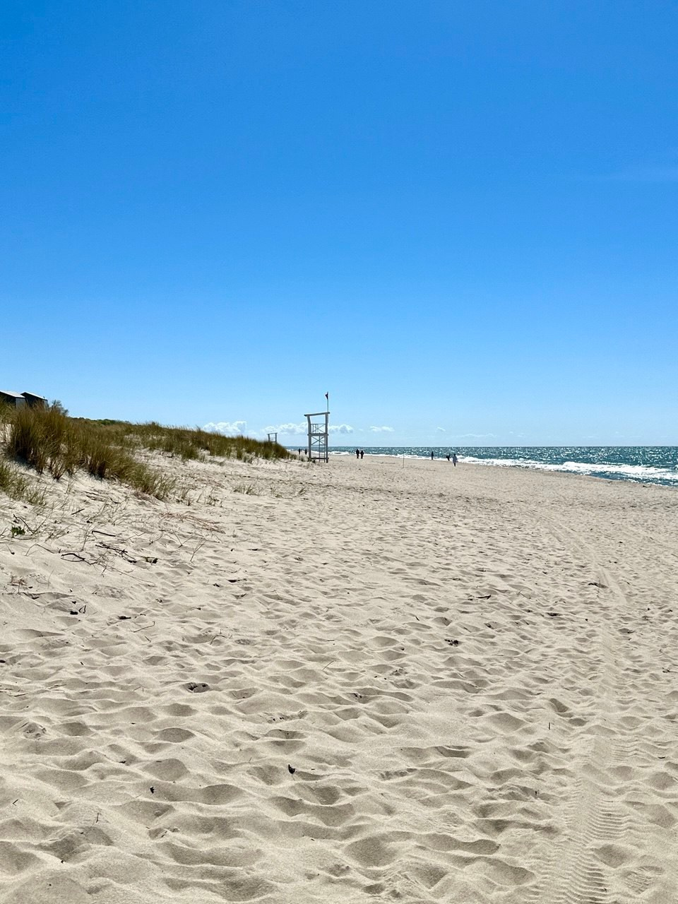Фототур «Свет янтаря в сердце Балтики». Ольга Котова