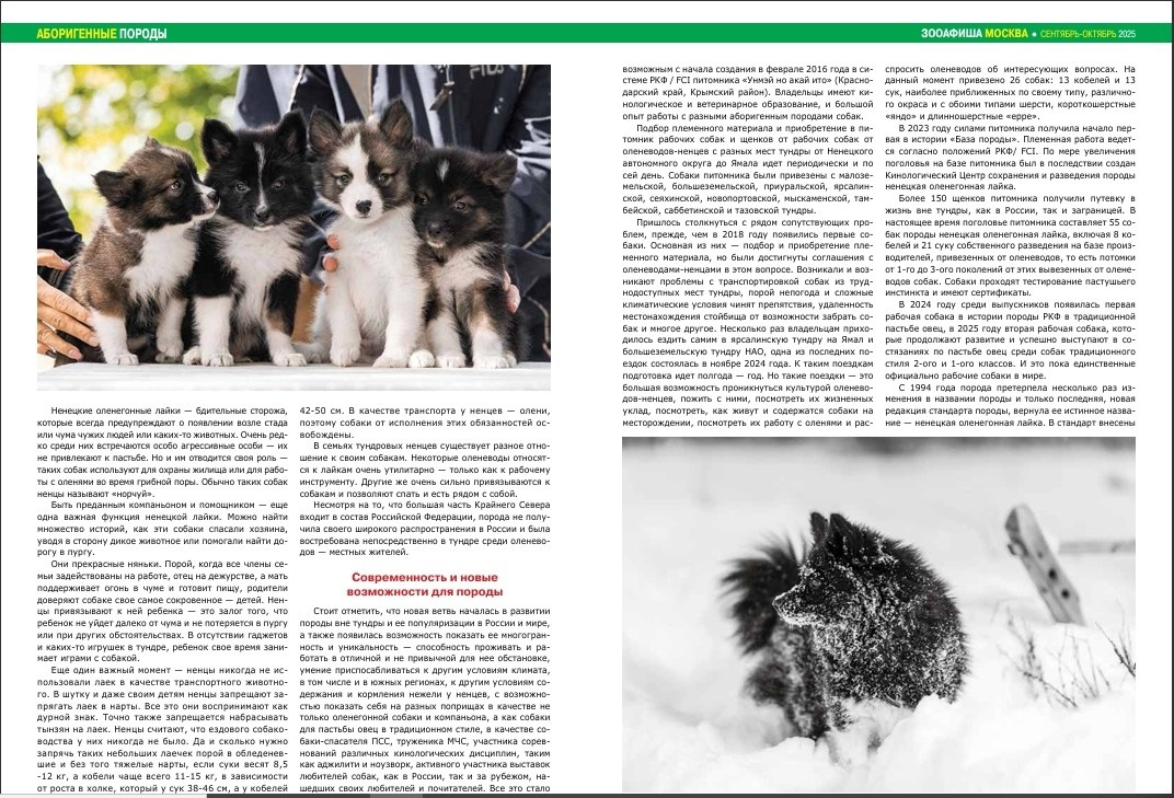 Моё фото на обложке журнала ЗооАфиша. Фотограф-анималист Natalia Deingel | Фотосъемка собак в Москве