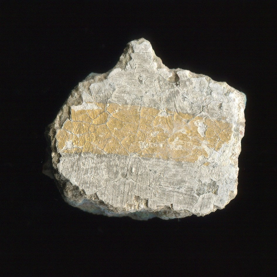 Pulherrima Rosa. Плёночный фотограф Юлия Андрейченко в Москве