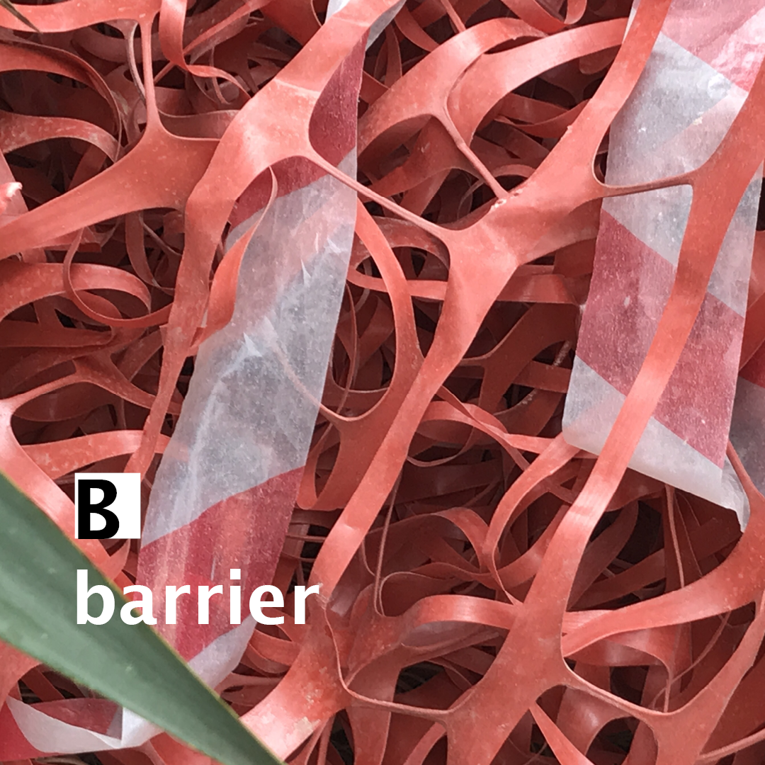 Что ты слушаешь?. Xenia Ryabova