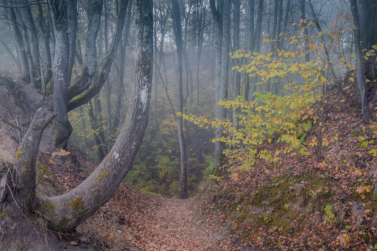 Итоги 2019: лучшие фотографии выпускников фотошколы "Перспектива" за 2. Фотоцентр Перспектива: выпускные альбомы, фотошкола, курсы фотографии