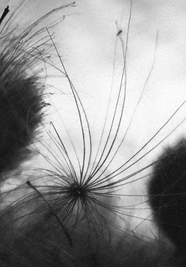 Фотолагерь для фотографов и не только. ARTDARY | Фотограф Дарья Грицай