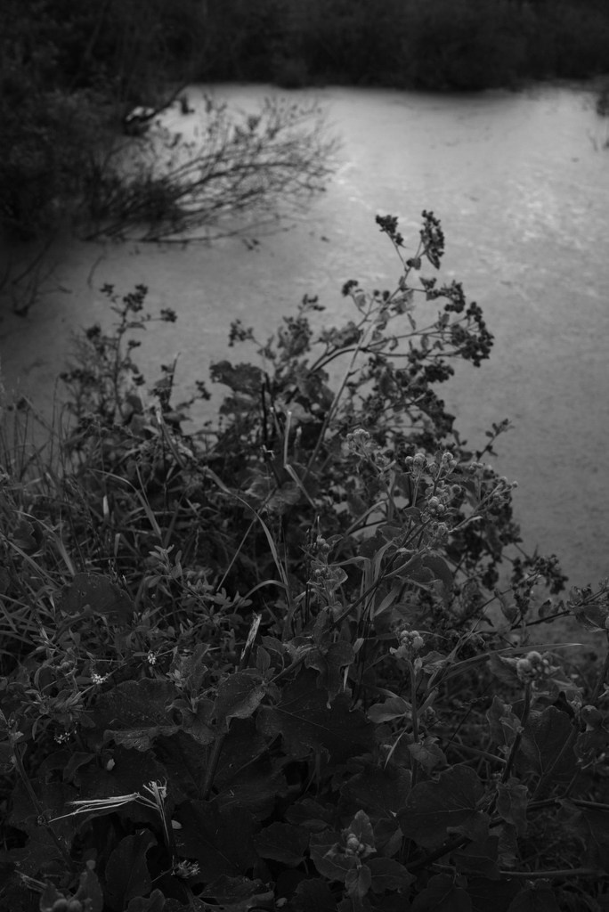 Непокорённая земля. Пылина Ирина — современная фотография