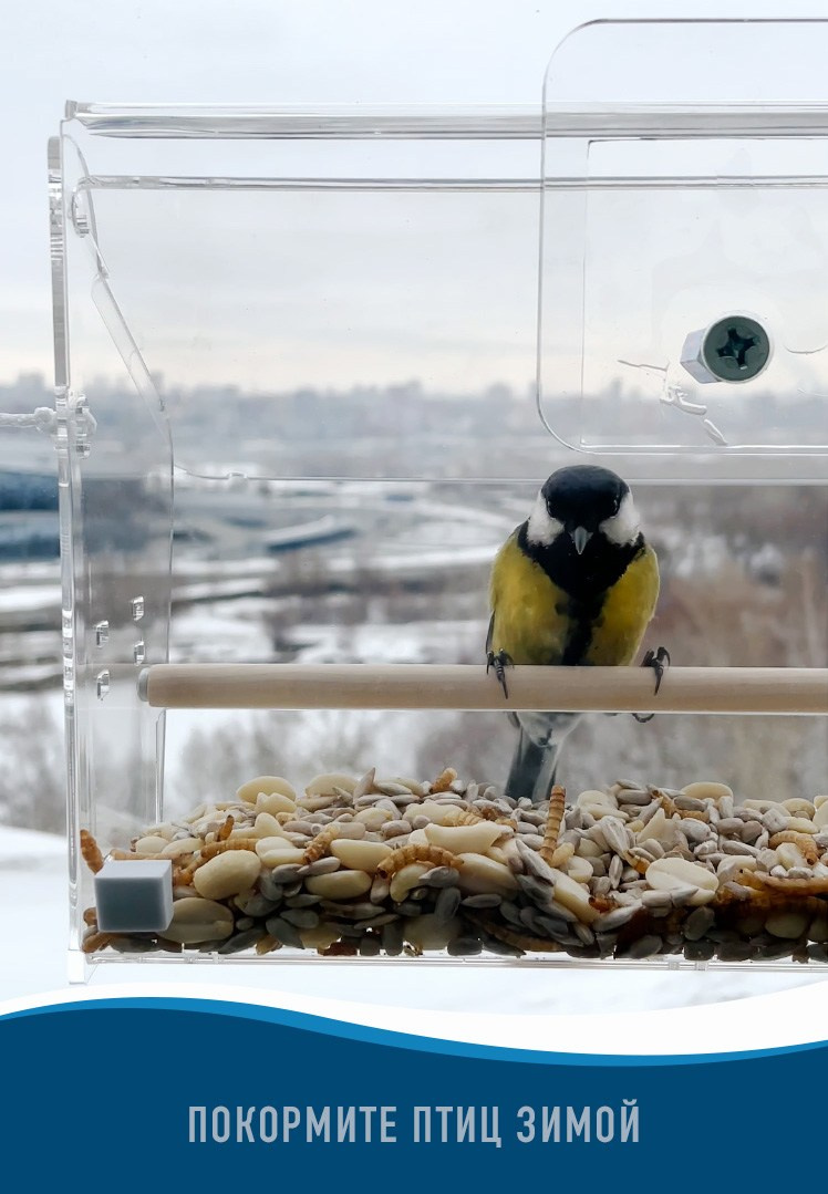 ЛАЗОРА. Кормушки для птиц на окно Чирик-Чирик