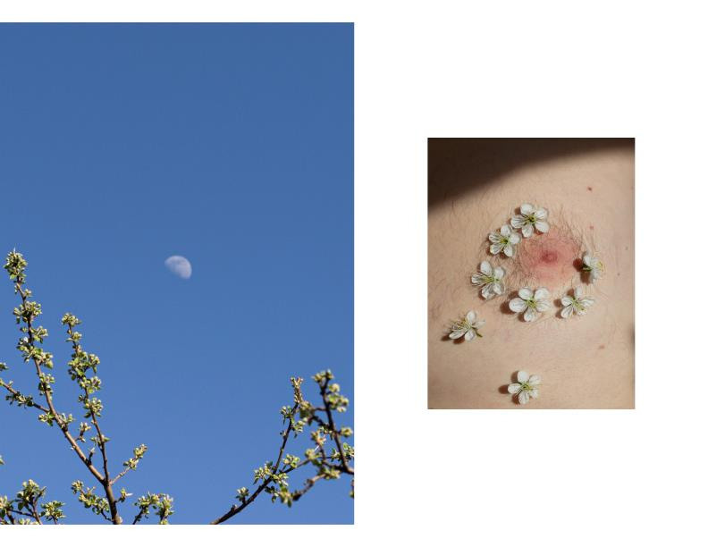 Romance. Фотограф Анна Мельникова