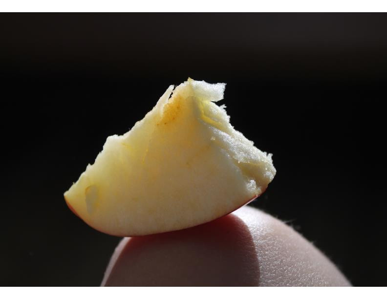 Romance. Фотограф Анна Мельникова