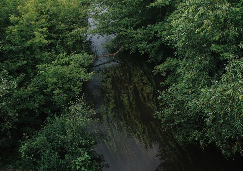Коллективные зины. Фотограф Анна Мельникова