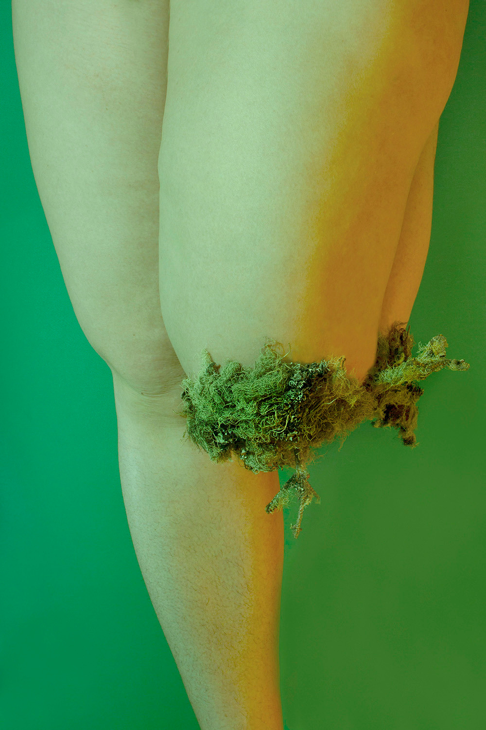 Assemblage (2019–2022)