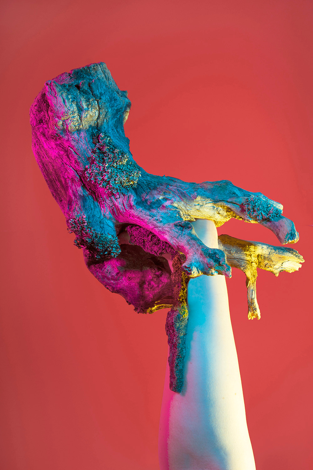 Assemblage (2019–2022)