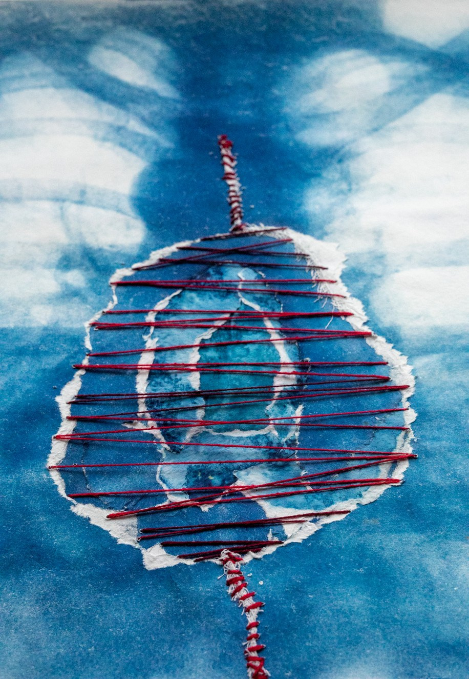 CYANOTYPE. CONTEMPORARY ARTIST OLGA ANDRIYASH