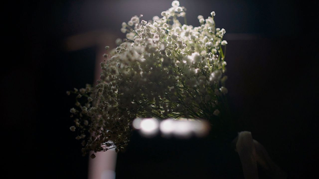 Свадебный видеооператор Владимир Таирян. Портретный и свадебный фотограф Алла Карени Москва