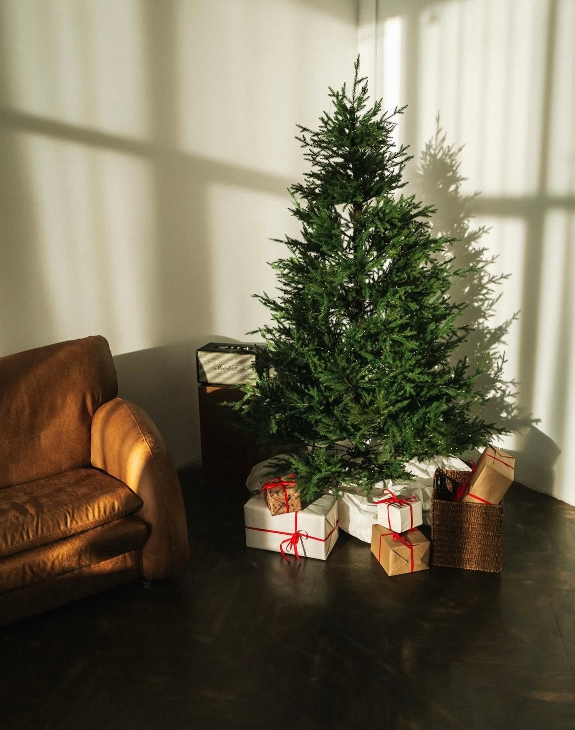 Новогодние фотостудии 2026. Семейный и детский фотограф в Бресте Дария Поляк