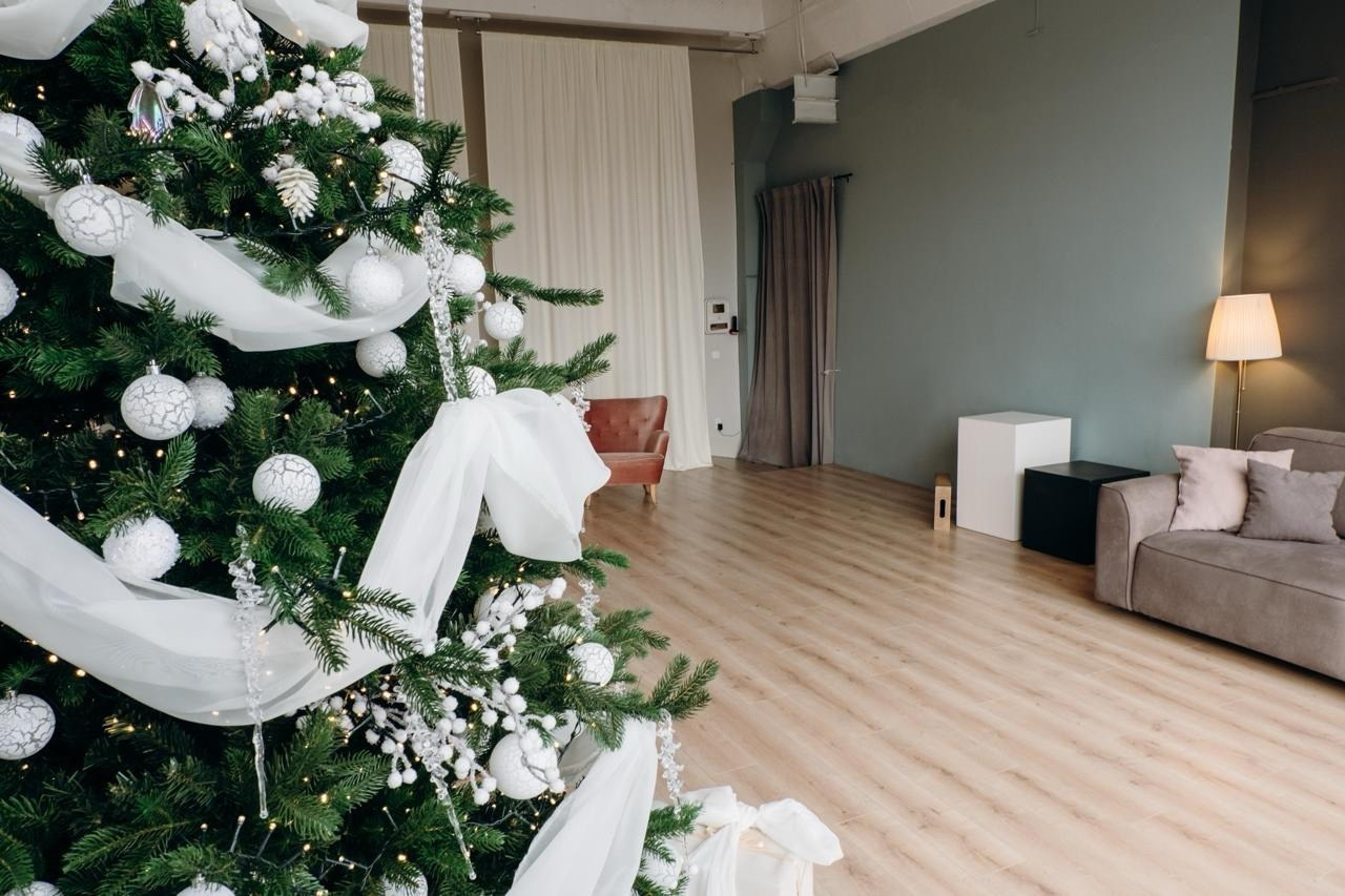 Новогодние студии Нск. Виктория Файфер| фотограф Новосибирск