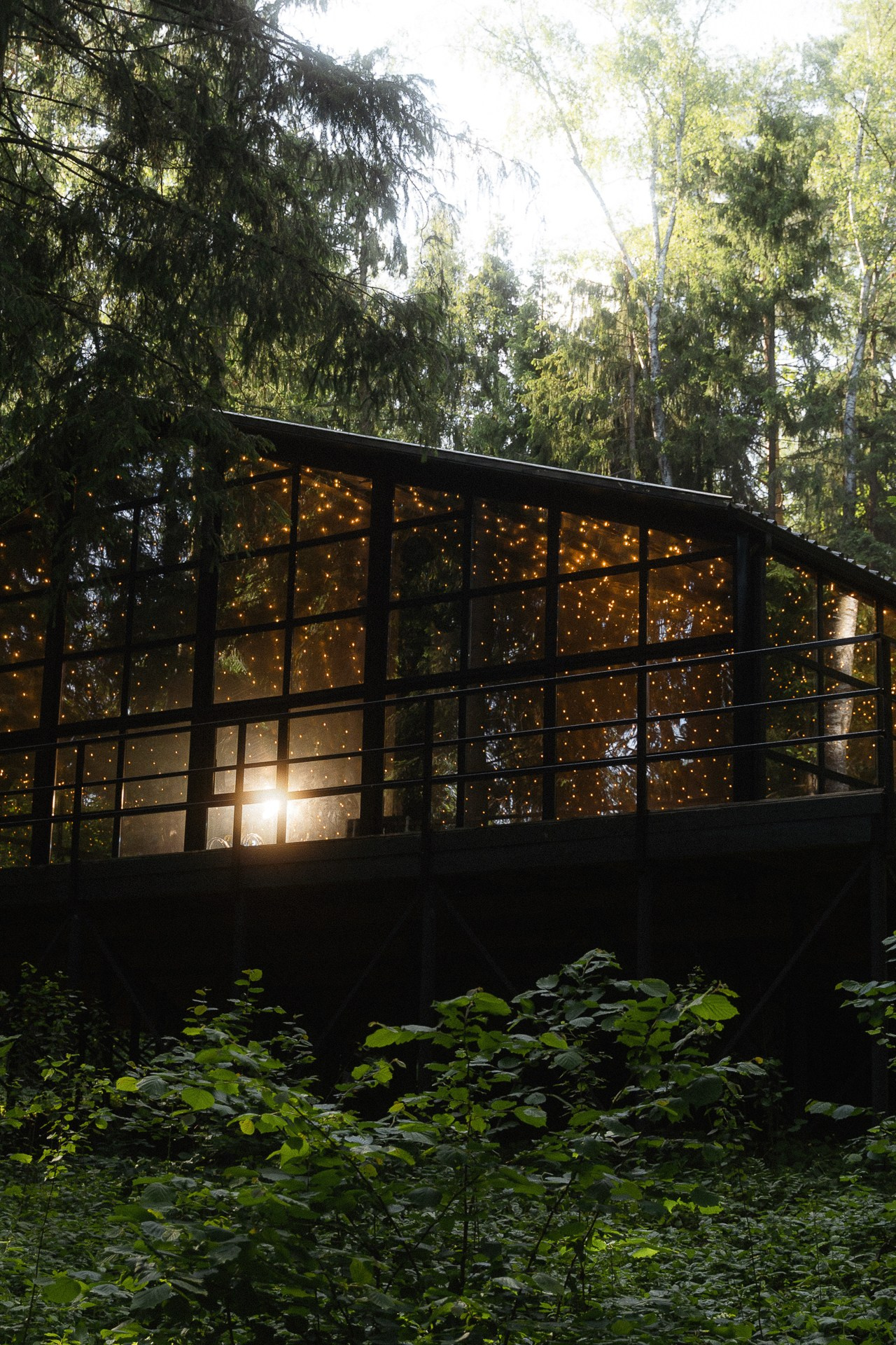 Сергей и Дарья. Свадебный фотограф в Белгороде Антон Каменев