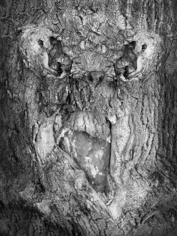 Projects. Landscape Photography by Aleksandr Leshchenok