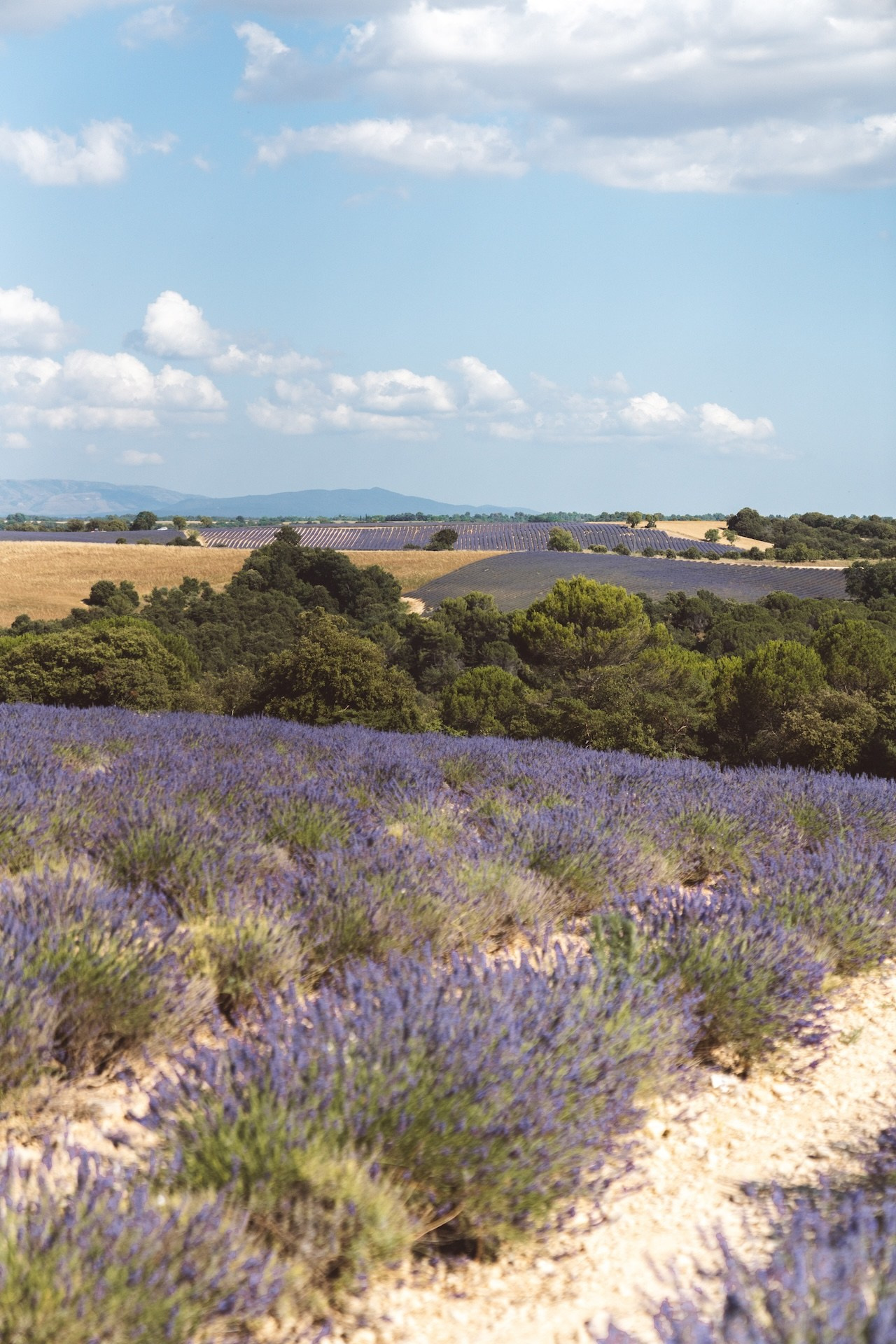Путешествия. Olga Modjaro