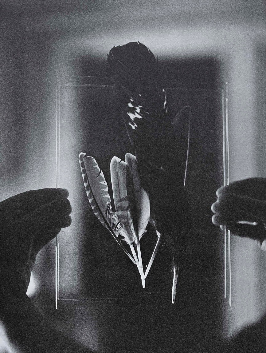 Книга «Gertrud» Мэй Дэниелс (Maja Daniels). Private image