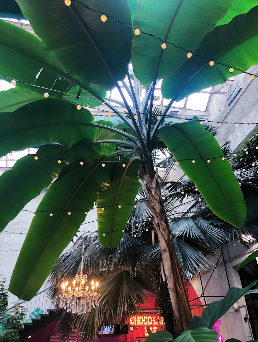 Локации в Питере под крышей