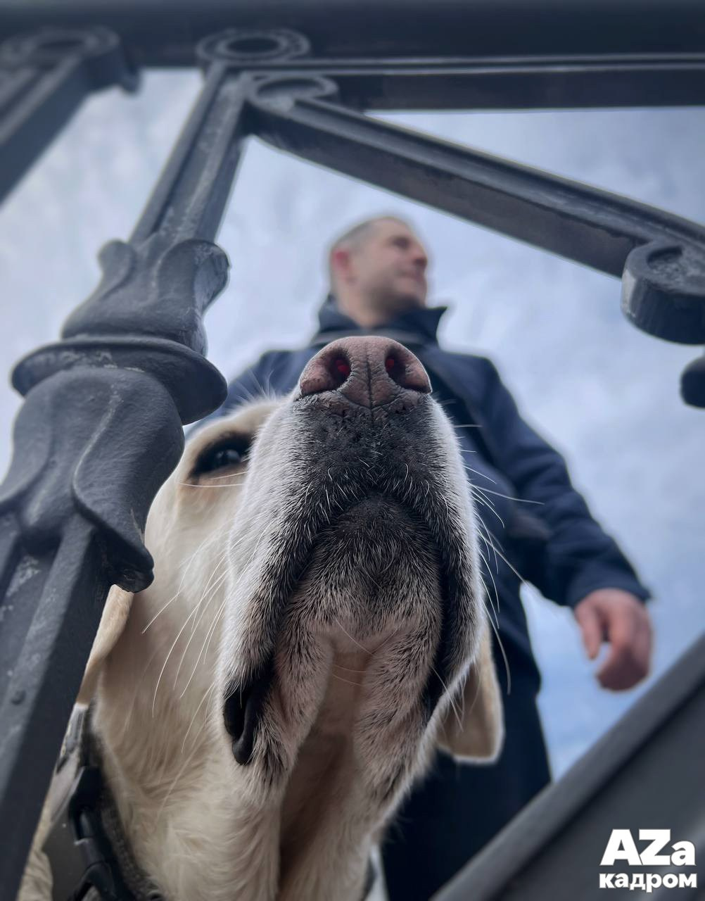 AZакадром Нижняя точка съемки. Женский семейный фотограф Тула Москва Захарова Анна