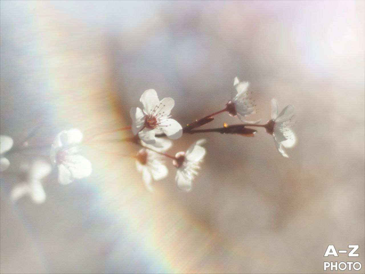 #ФОТОНЕДЕЛИ 16.03.2026. Женский семейный фотограф Тула Москва Захарова Анна