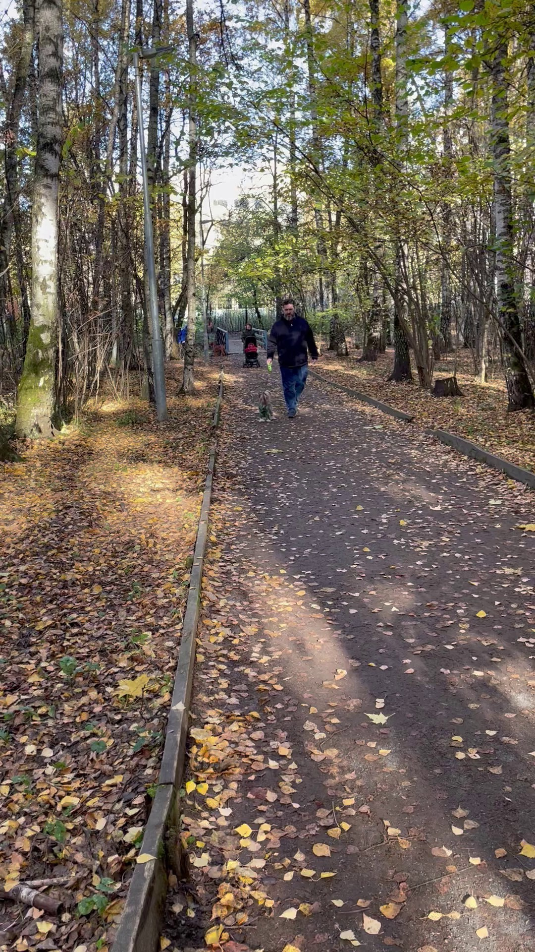 Честер и ко. осенью в Тропарево. Питомник китайских хохлатых собак Poale Ell: купить щенка в питомнике