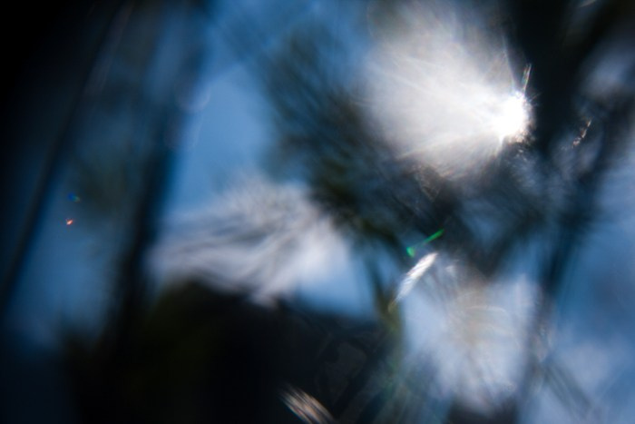 Archive ptoto projects. Янина болдырева Yanina Boldyreva