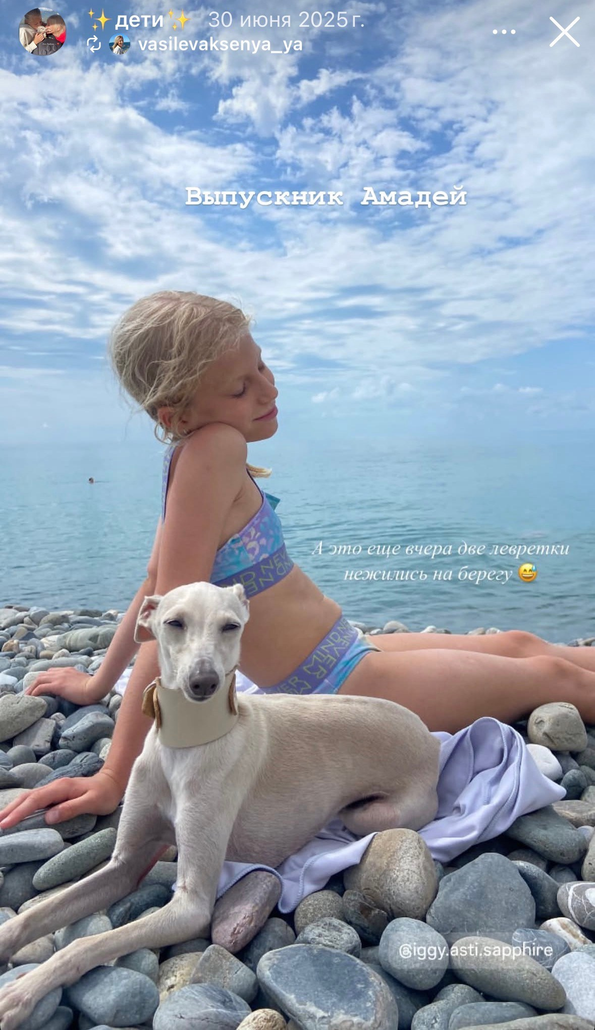 Левретка и ребенок: нежная дружба. Профессиональный питомник левреток РКФ/FCI ASTI SAPPHIRE 💎 Сочи|Санкт-Петербург