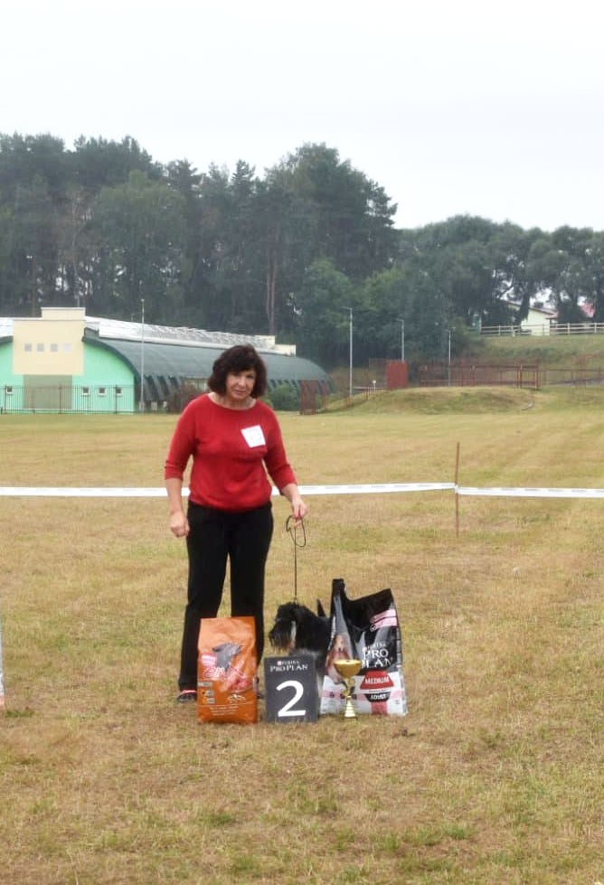 Майбах/Delinso Balance Argyris. Питомник цвергшнауцеров в Беларуси «Делинсо Бэлэнс»