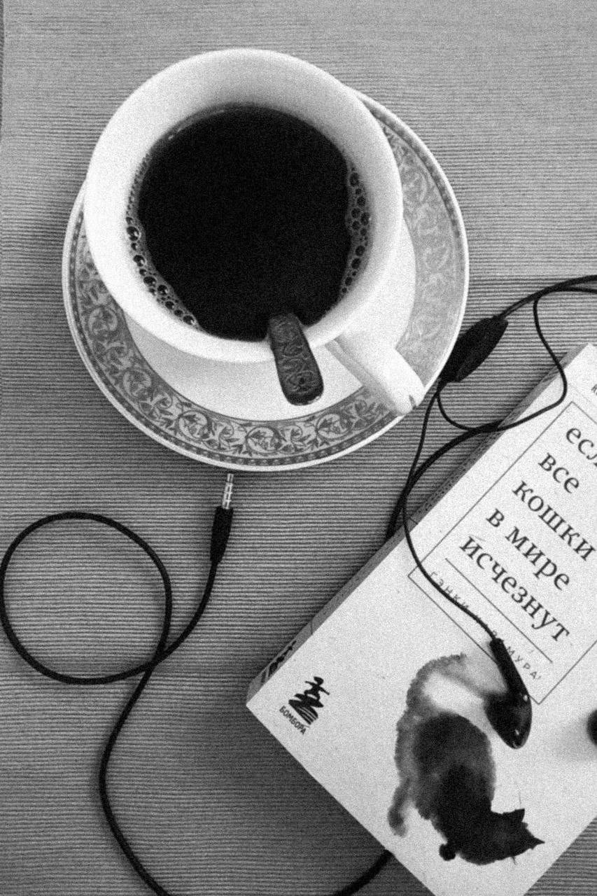 МАРАФОН ФОКУС НА ПРЕКРАСНОМ. Фотограф Анастасия Дмитриева