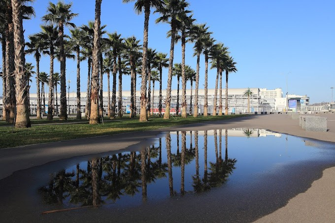 АДЛЕР. Свадебный и семейный фотограф/видеограф в Краснодаре Наталья Осинская