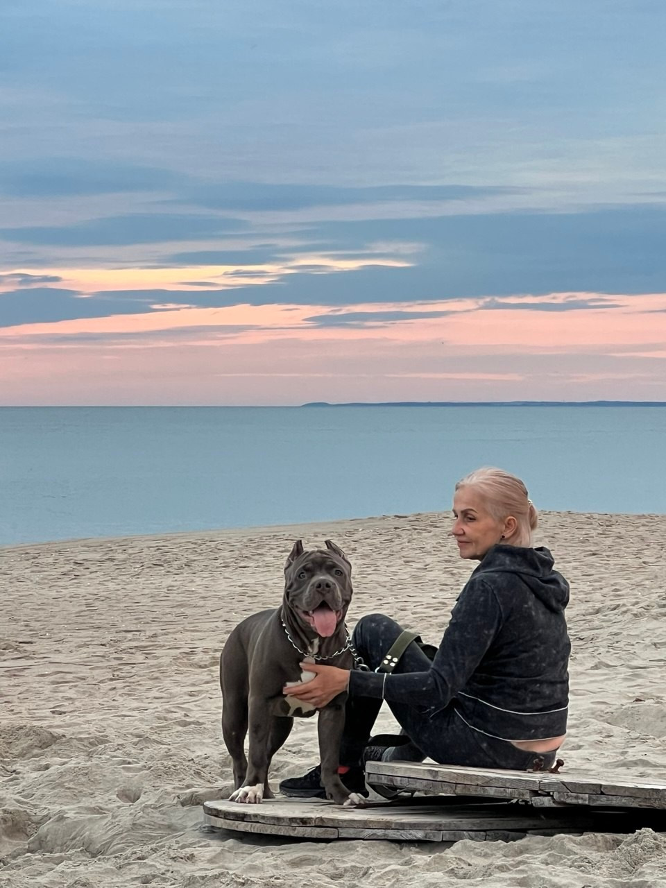 GBU Xanamoon. Американские булли XL в г. Калининград. Питомник Great Bully UNIVERSE