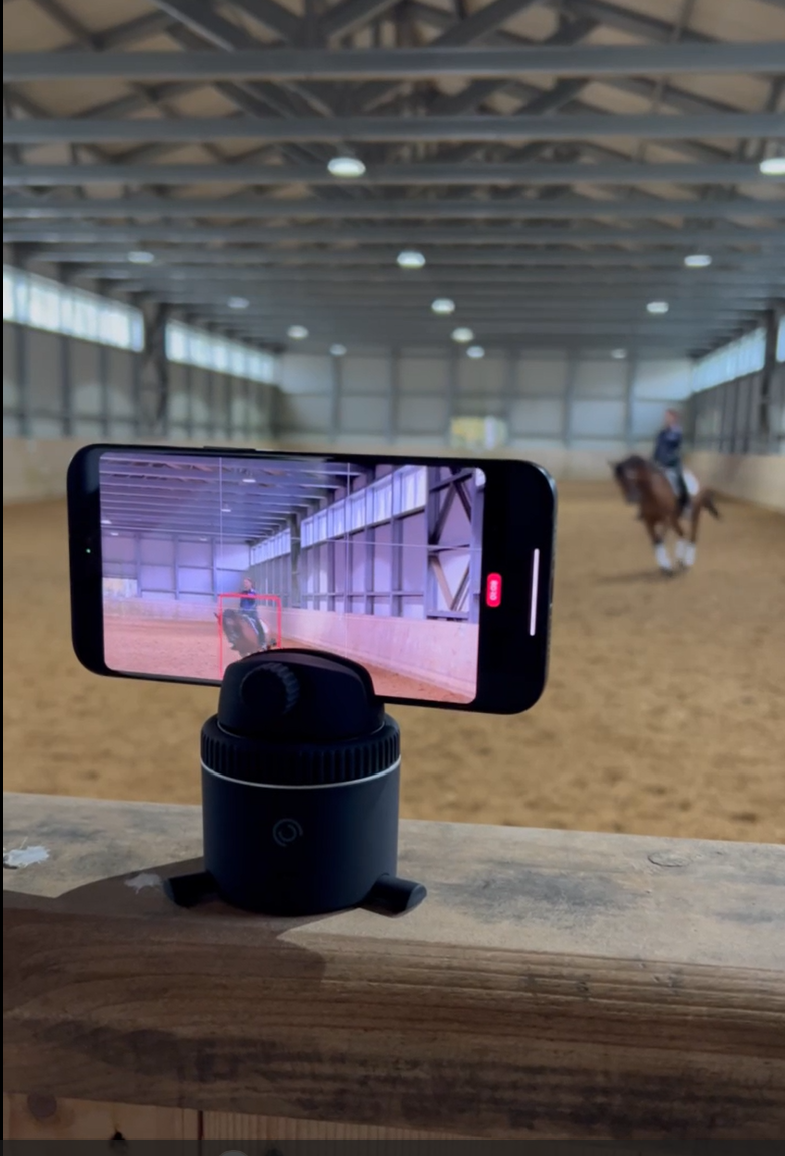 Founder. Liana Antanovich | Equestrian Strategies