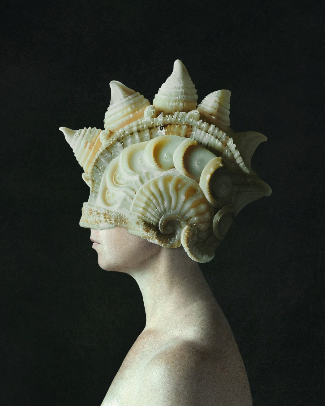 Аммониты / Ammonites. Visual artist Olga Burmistrova