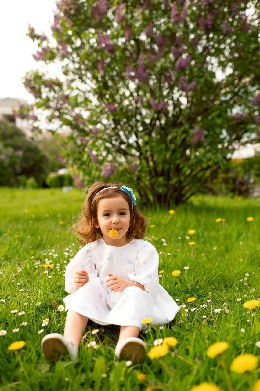 ПИКНИК. ПАРК. ПОЛЕ. СЕМЬЯ. ЛЕТО