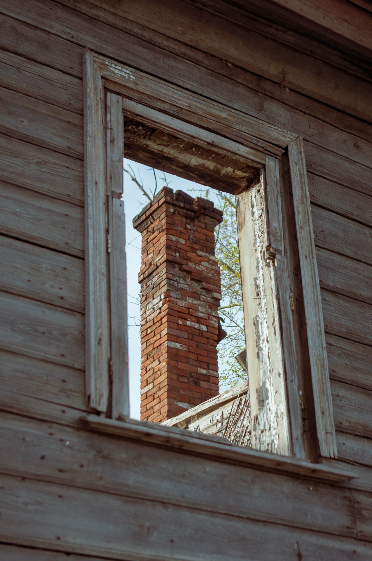 Фотограф Даниил Богомолов, Санкт-Петербург