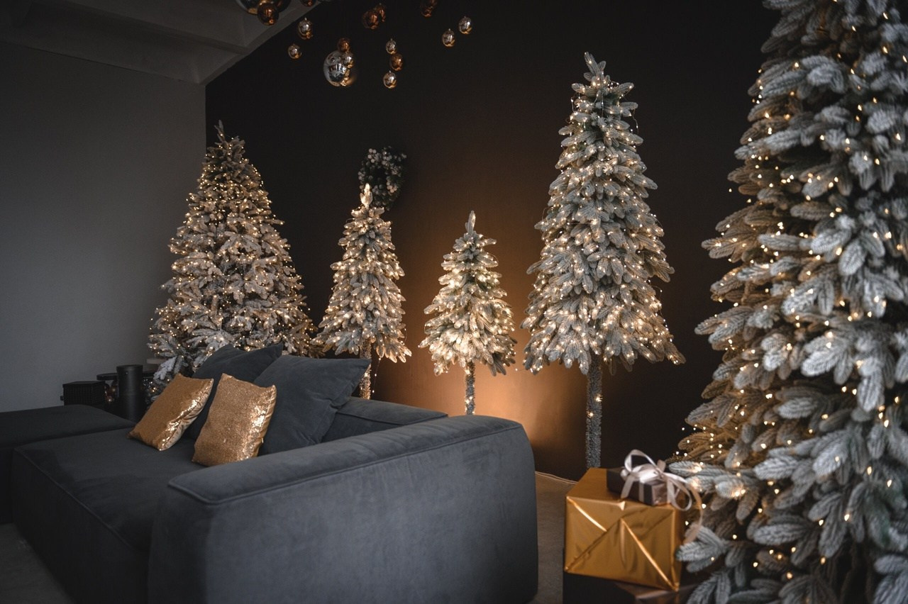 PRESTIGE. Фотограф Анастасия Крафт