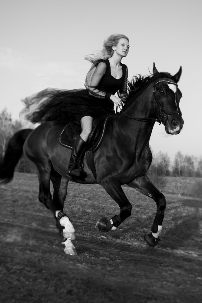 Лошади. Свадебный и портретный фотограф Москва