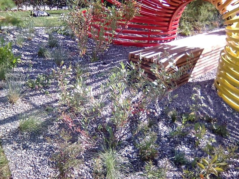 ВНИМАНИЕ! ФЕСТИВАЛЬ ЛАНДШАФТНОГО СТРОИТЕЛЬСТВА. 俄罗斯设计估算