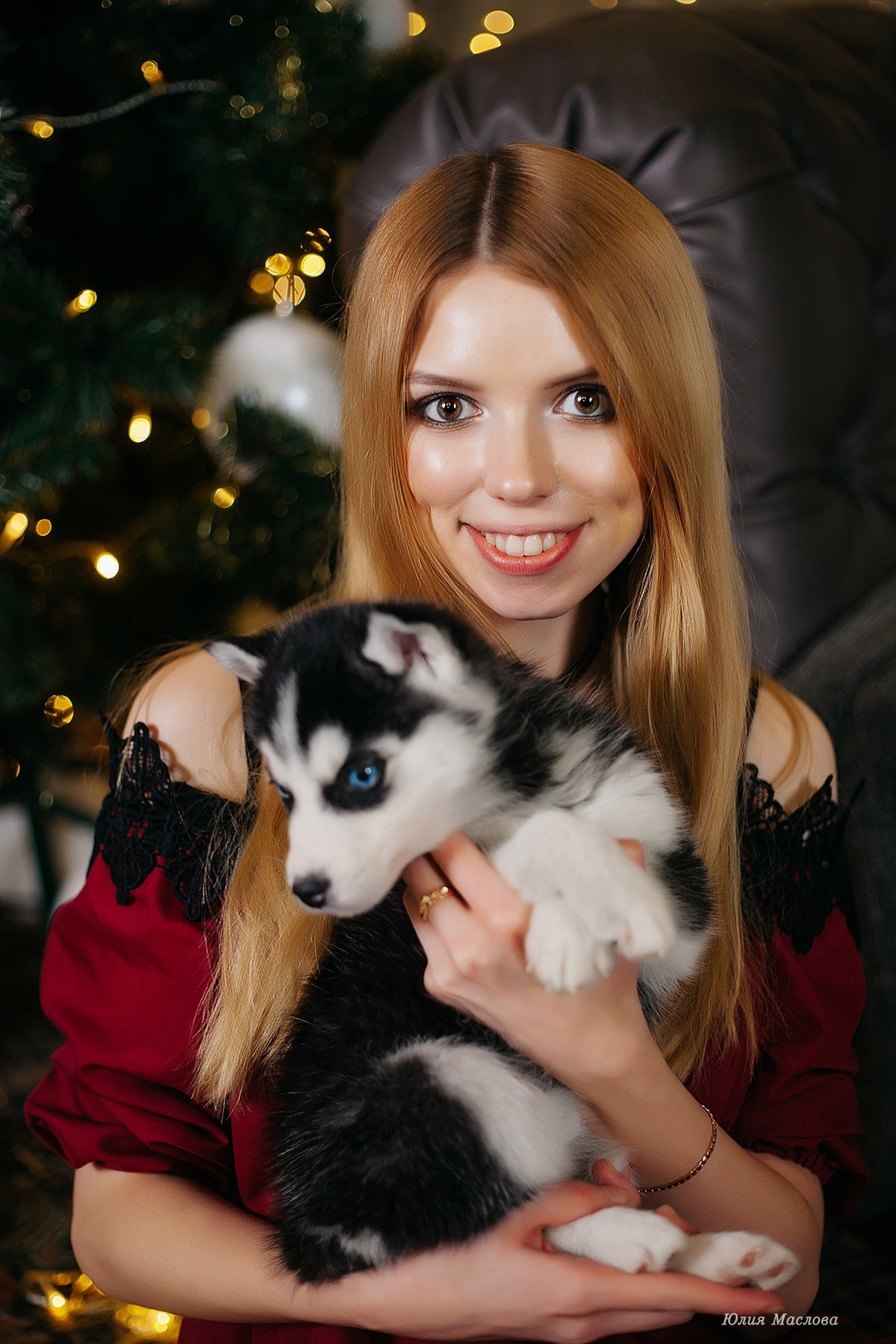 Хаски #1. Фотограф Ижевск Филипп Усков