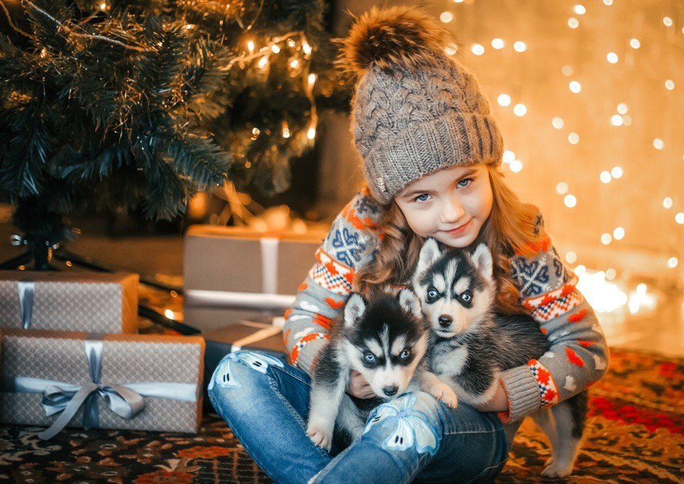 Хаски #1. Фотограф Ижевск Филипп Усков