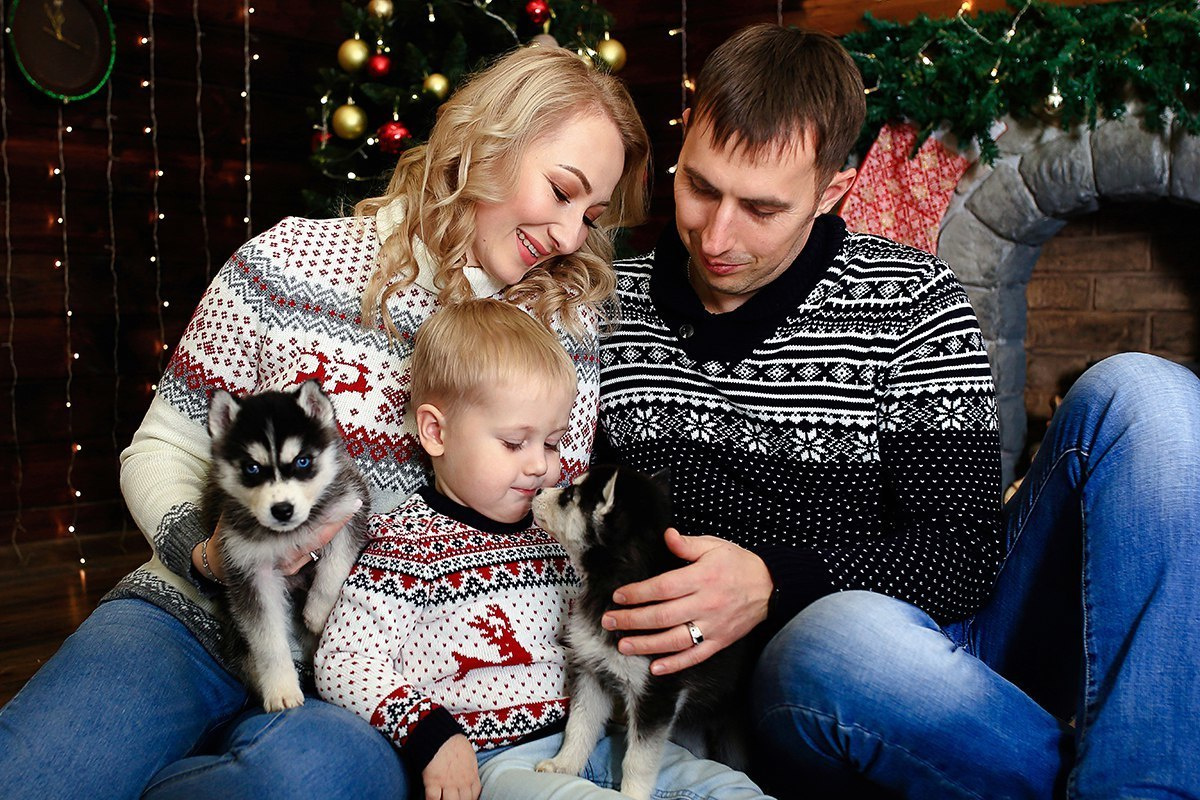 Хаски #1. Фотограф Ижевск Филипп Усков