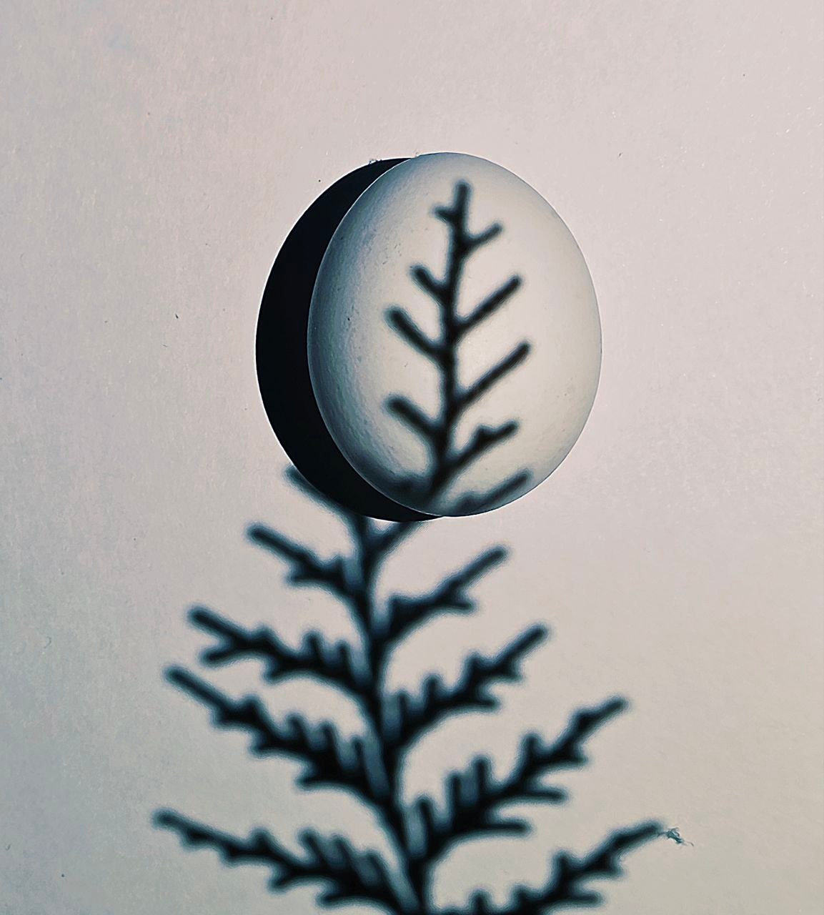 Марафон креативной фотографии. Vladimir Borele Photographer