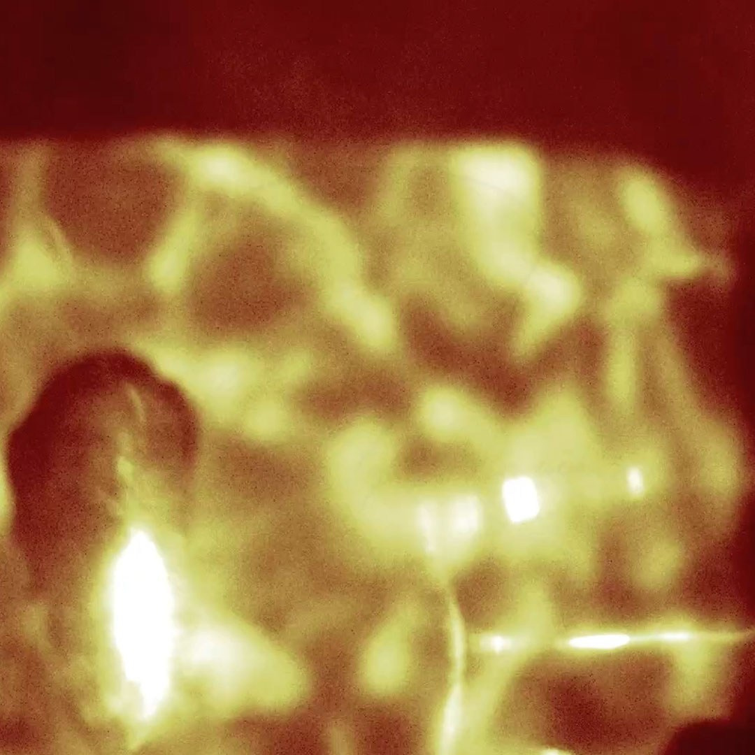 MY 7508 DAY OF LIFE OUT OF (?). Evgenia Popova — Mixed media visual artist