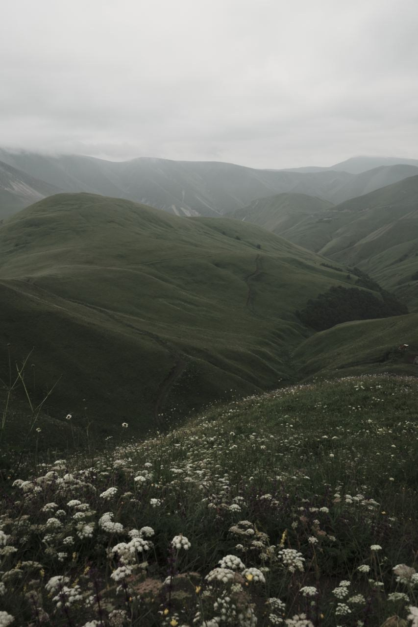 *photofon by izma. Izma photos