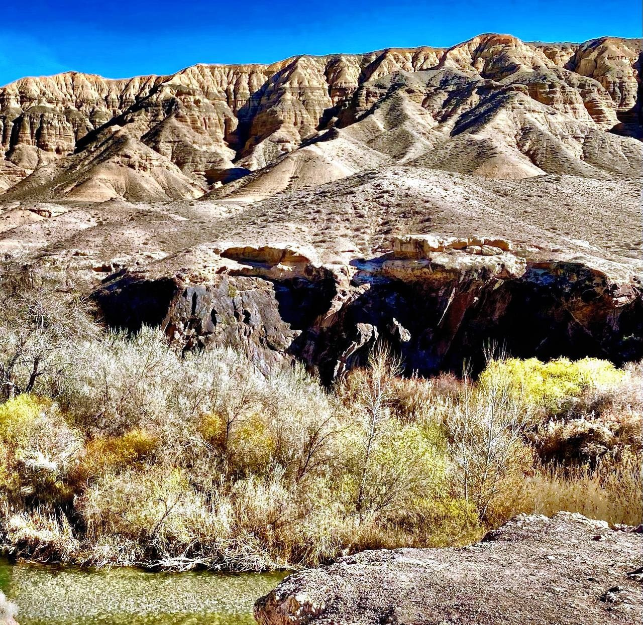 Пейзаж Лунного каньона в районе Алматы в Казахстане не зря напоминает лунную поверхность. В центре фотографии расположена полоса деревьев и кустарников с желтоватой и зеленоватой листвой, окаймляющая небольшую речку. Холмы имеют выразительную текстуру и оттенки песчаного и коричневого цветов, подчеркивая их слоистую структуру.