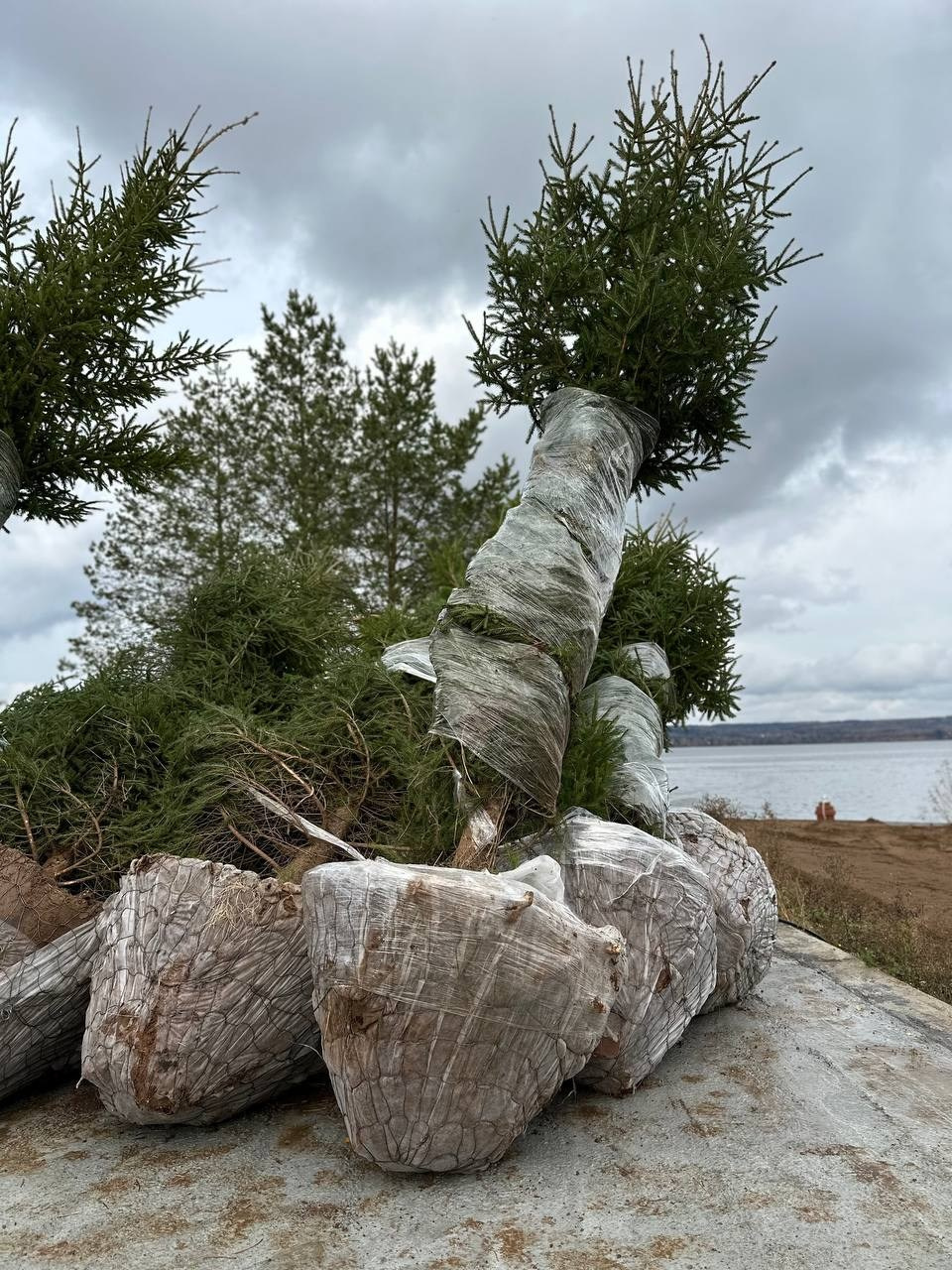 Крупномеры РФ