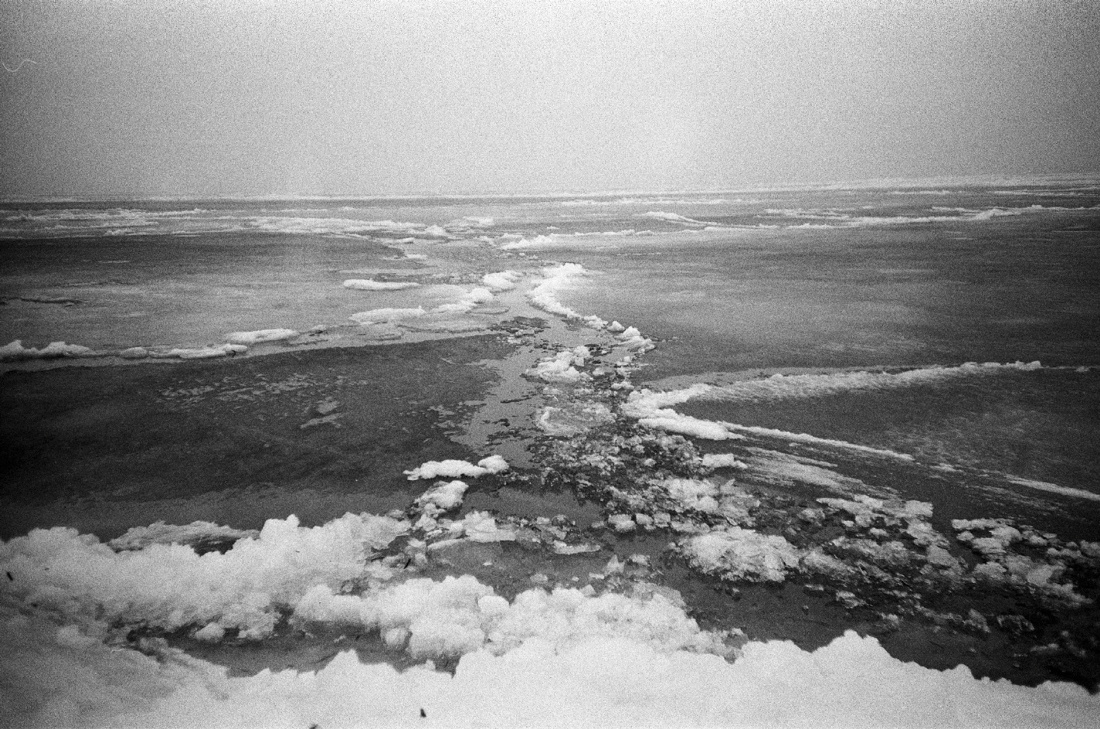 Flowers for Rita. Varya Kozhevnikova | Варя Кожевникова