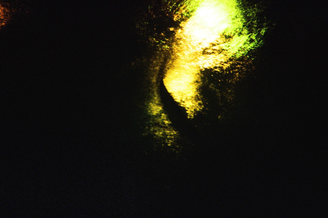 Flowers for Rita. Varya Kozhevnikova | Варя Кожевникова